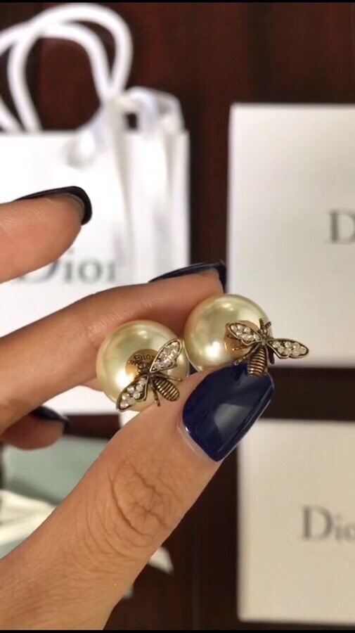 Christian Dior Earrings